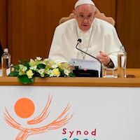 Pope synod