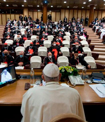 Pope synod