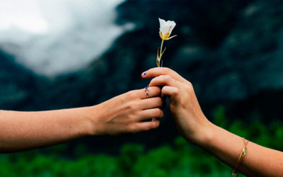 La ley del amor