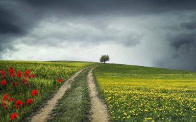 El hombre quiere ser feliz y Cristo declara el camino